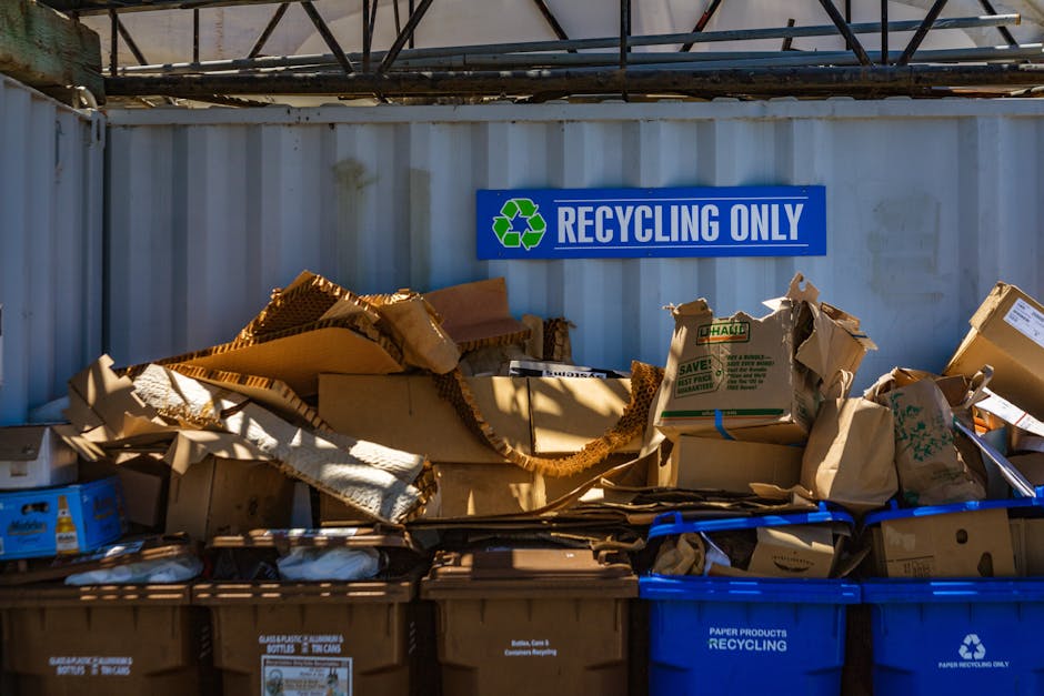A recycling point featuring a metal container with a grey finish and a corrugated texture, positioned against a light grey, paneled wall. Above the container, a blue rectangular sign with white text reads 'RECYCLING ONLY' and displays a green recycling symbol. Inside and around the container, various flattened and crumpled cardboard boxes and paper packaging are visible, some nests of brown corrugated cardboard, with textures ranging from smooth to ridged. To the right, a partially visible carton with green and white printing and a blue plastic band is present. Below the container, there are several large recycling bins and boxes made of plastic, with different shades of blue and brown, marked with recycling symbols and labels. The scene is outdoors, under a clear sky, with natural sunlight casting shadows and highlighting the different textures of the materials, conveying an environment dedicated to waste sorting and alternative waste handling such as private collection or on-site clearance.